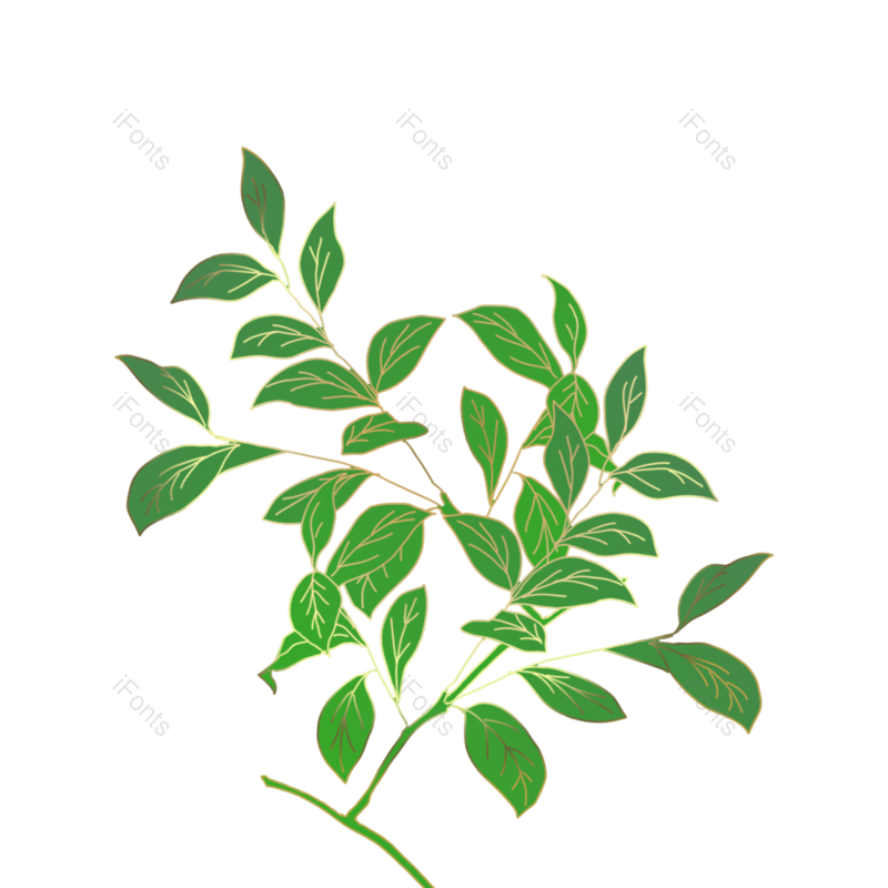 叶子图片,叶子装饰元素,绿色叶子PNG,薄荷叶免抠素材